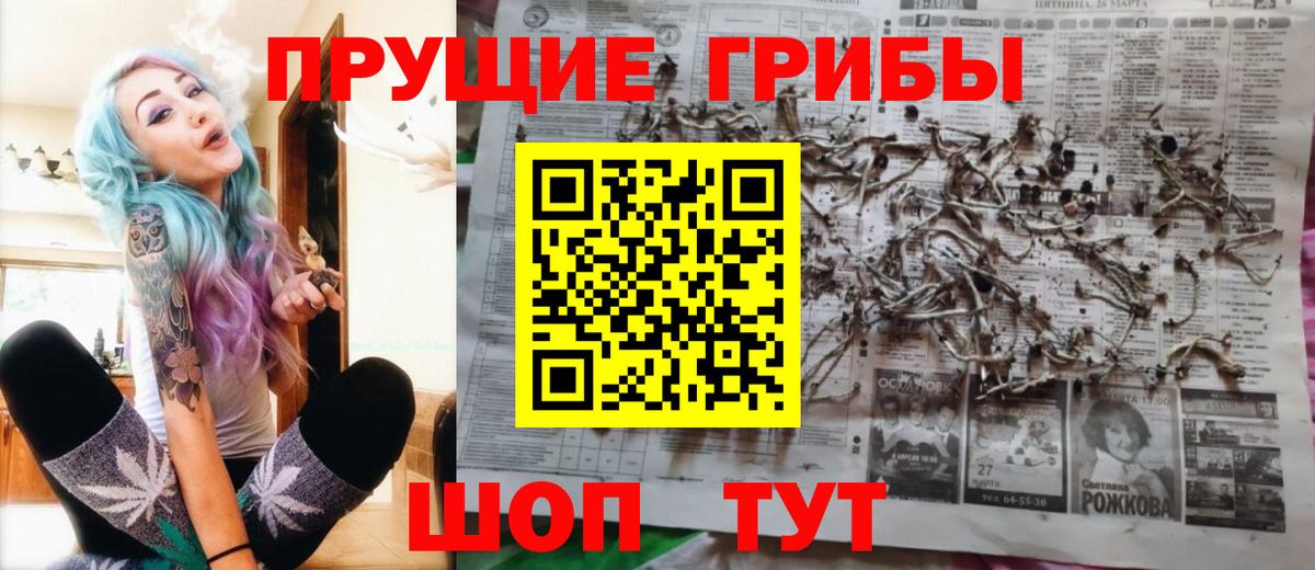 Галлюциногенные грибы ЛСД  Галлюциногенные грибы Psilocybe  Сафоново  купить наркотик  Вход с VPN 