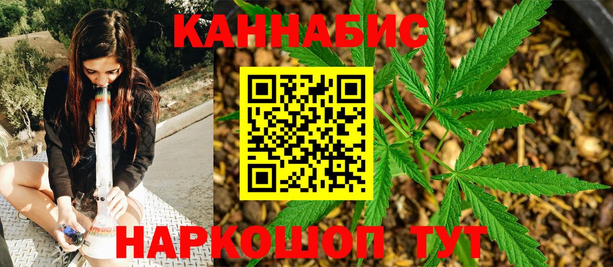 Канабис планчик Сафоново